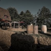 Western 2026 - Photos - Acanthus