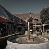 Western 2026 - Photos - Acanthus