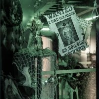 Western 2026 - Photos - Acanthus