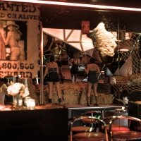 Western 2026 - Photos - Acanthus