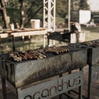 Western 2026 - Photos - Acanthus