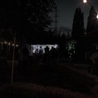 Western 2026 - Photos - Acanthus