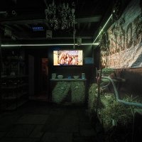 Western 2026 - Photos - Acanthus