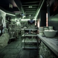 Western 2026 - Photos - Acanthus