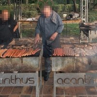 Coyote Ugly 2026 - Photos - Acanthus