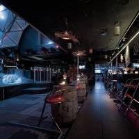 Coyote Ugly 2026 - Photos - Acanthus