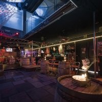 Coyote Ugly 2026 - Photos - Acanthus