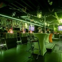 Flower Power 2026 - Photos - Acanthus