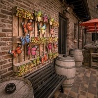 Flower Power 2026 - Photos - Acanthus