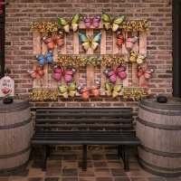 Flower Power 2026 - Photos - Acanthus