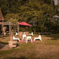 Flower Power 2026 - Photos - Acanthus
