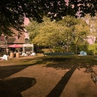 Flower Power 2026 - Photos - Acanthus