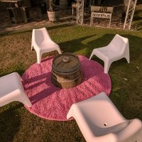 Flower Power 2026 - Photos - Acanthus