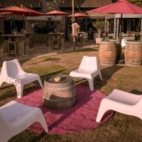 Flower Power 2026 - Photos - Acanthus