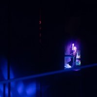 Fluo 2024 - Fotos - Acanthus