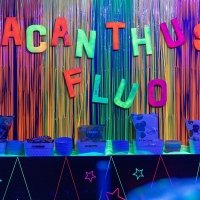 Fluo 2024 - Fotos - Acanthus