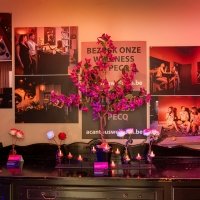 Carnaval 2026 - Photos - Acanthus