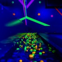 Fluo 2026 - Photos - Acanthus