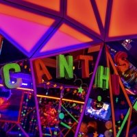 Bi 2026 - Photos - Acanthus