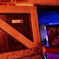 Bi 2026 - Photos - Acanthus