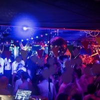 Bi 2026 - Photos - Acanthus