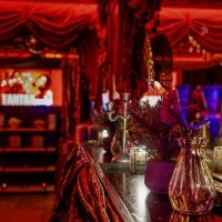 Burlesque 2026 - Photos - Acanthus