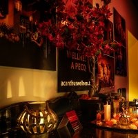 Burlesque 2026 - Photos - Acanthus