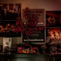 Eyes Wide Shut 2026 - Fotos - Acanthus