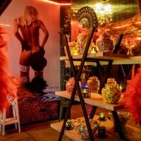 Eyes Wide Shut 2026 - Fotos - Acanthus