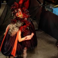 Eyes Wide Shut 2026 - Fotos - Acanthus