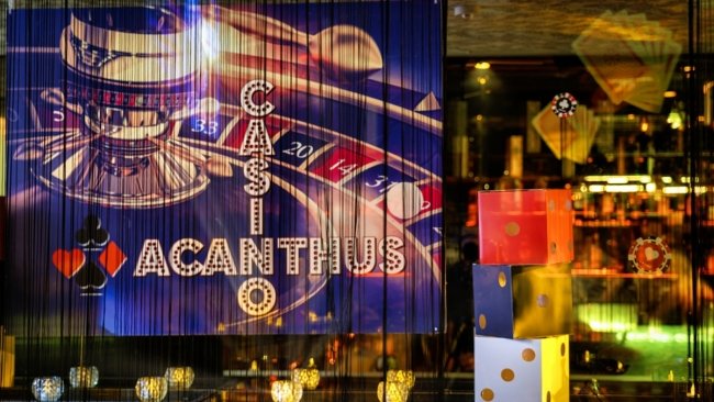 Fotos - Acanthus