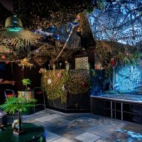 Swingsteren 2026 - Photos - Acanthus