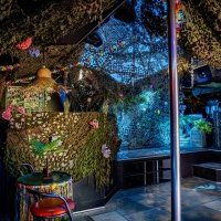 Swingsteren 2026 - Photos - Acanthus