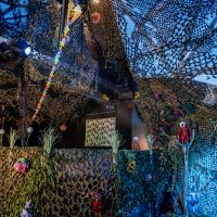 Swingsteren 2026 - Photos - Acanthus