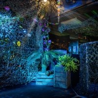 Swingsteren 2026 - Photos - Acanthus