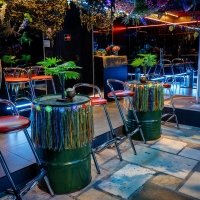 Swingsteren 2026 - Photos - Acanthus