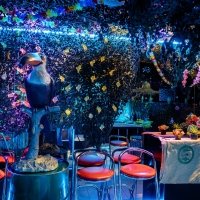 Swingsteren 2026 - Photos - Acanthus