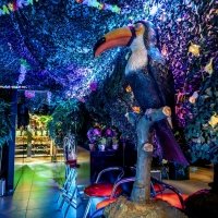 Swingsteren 2026 - Photos - Acanthus