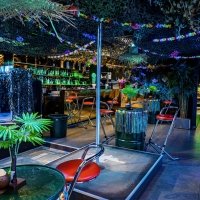 Swingsteren 2026 - Photos - Acanthus