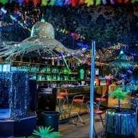Swingsteren 2026 - Photos - Acanthus