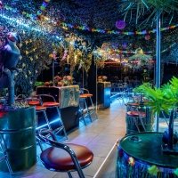 Swingsteren 2026 - Photos - Acanthus