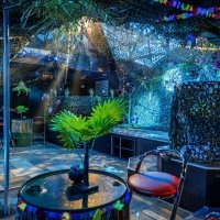 Swingsteren 2026 - Photos - Acanthus