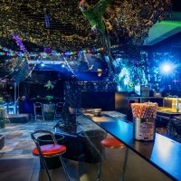 Swingsteren 2026 - Photos - Acanthus