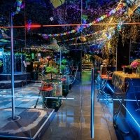 Swingsteren 2026 - Photos - Acanthus