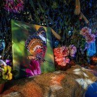 Swingsteren 2026 - Photos - Acanthus