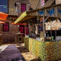 Swingsteren 2026 - Photos - Acanthus