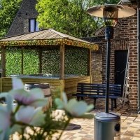 Swingsteren 2026 - Photos - Acanthus