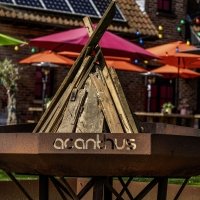 Swingsteren 2026 - Photos - Acanthus