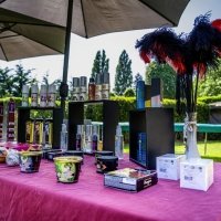 Swingsteren 2026 - Photos - Acanthus