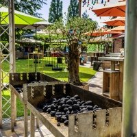 Swingsteren 2026 - Photos - Acanthus